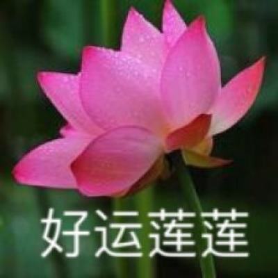 宁夏国有资产投资控股集团高级顾问赵其宏被查
